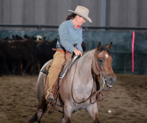 Photo of woman riding horse in cutting competition with cows.